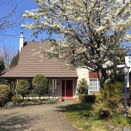 The Loft Bed And Breakfast Lago Lago Taupo Esterno foto