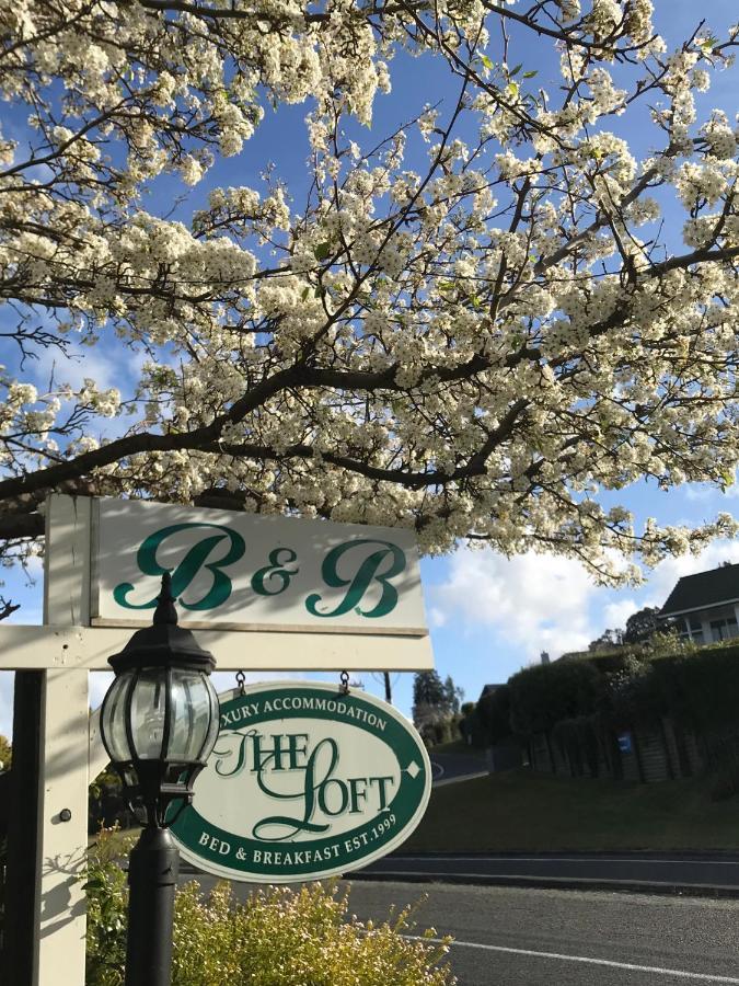 The Loft Bed And Breakfast Lago Lago Taupo Esterno foto