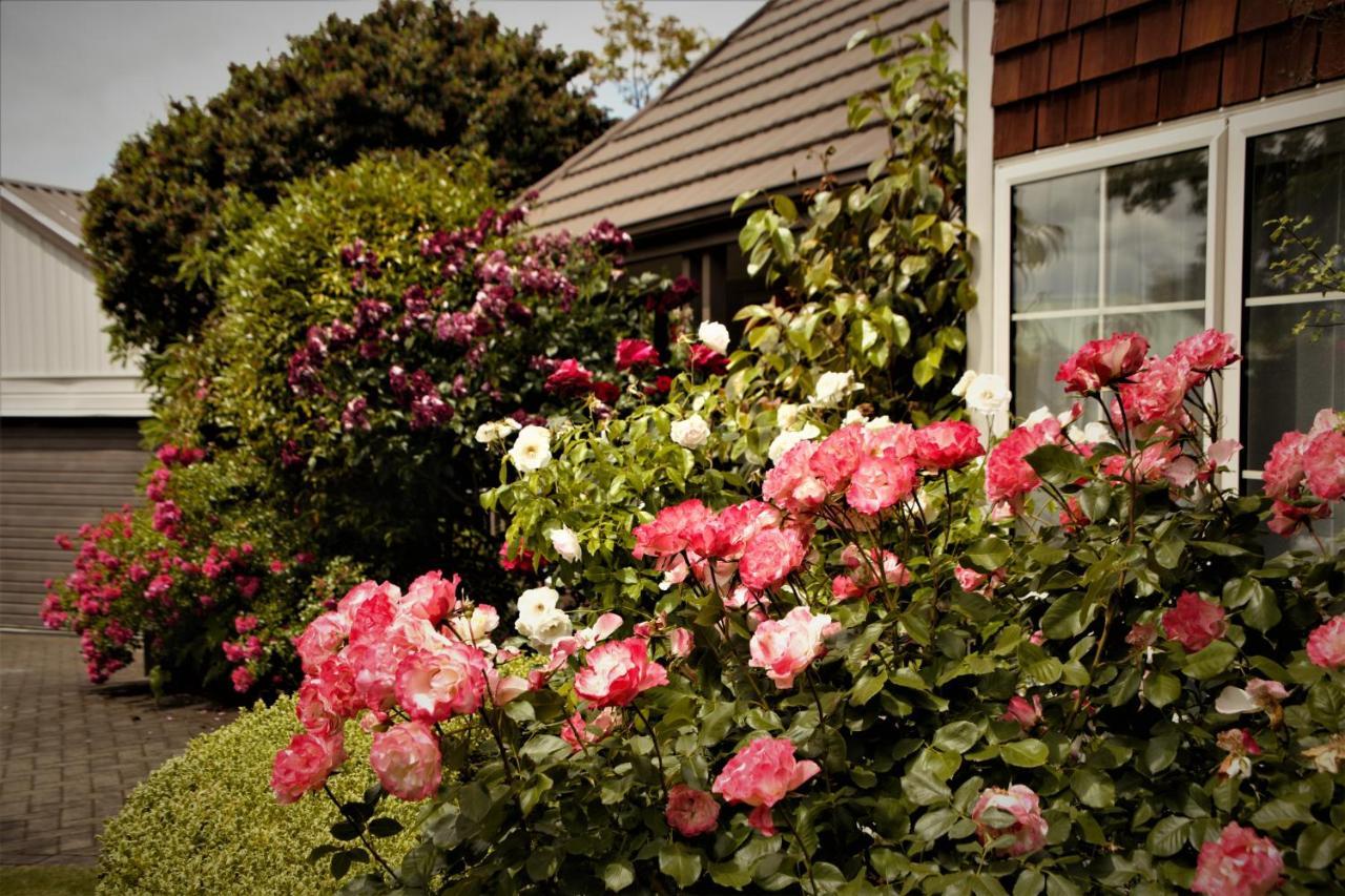 The Loft Bed And Breakfast Lago Lago Taupo Esterno foto