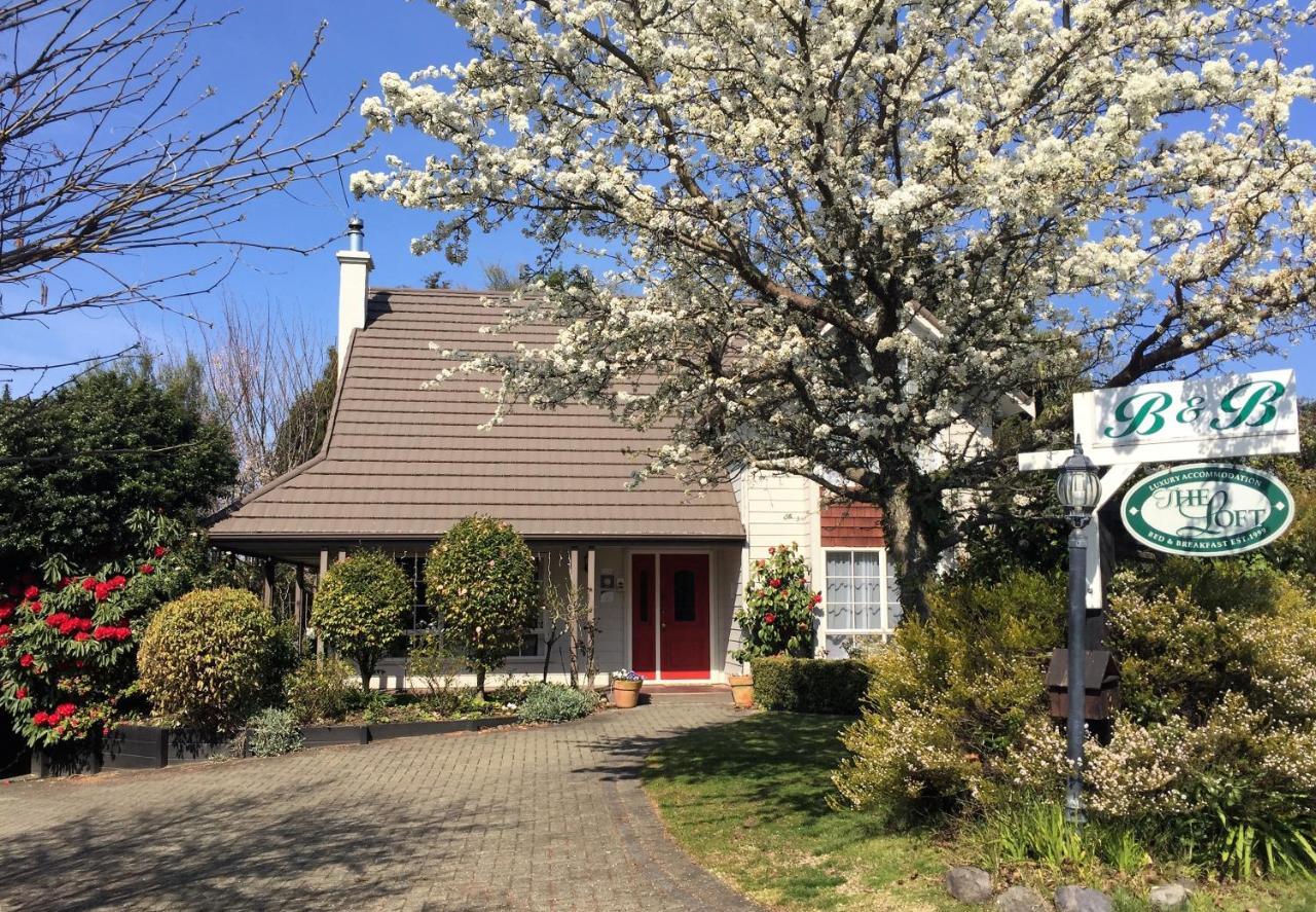 The Loft Bed And Breakfast Lago Lago Taupo Esterno foto